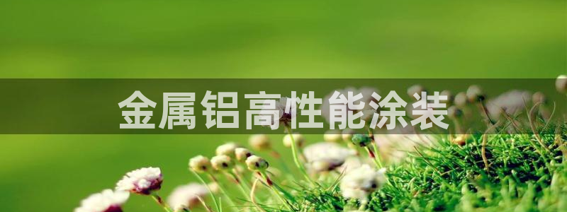 美高梅是哪个国家的连锁酒店