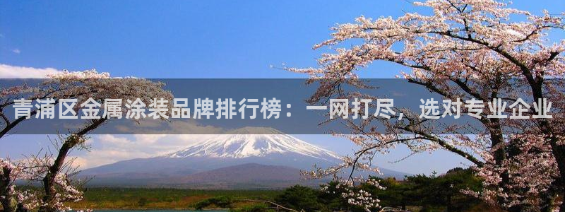 美高梅金狮卡是什么卡