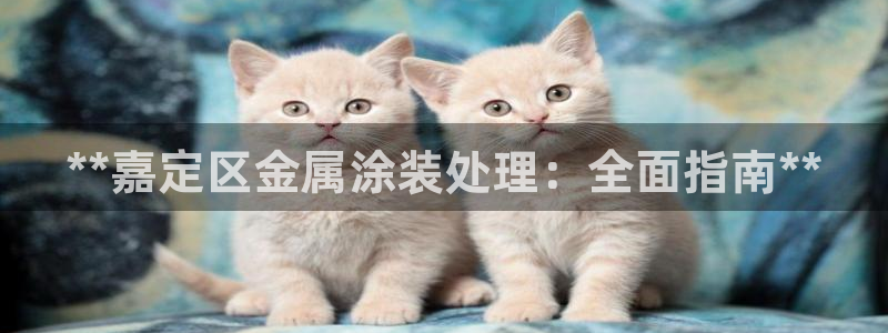 美高梅大酒店有多少分店