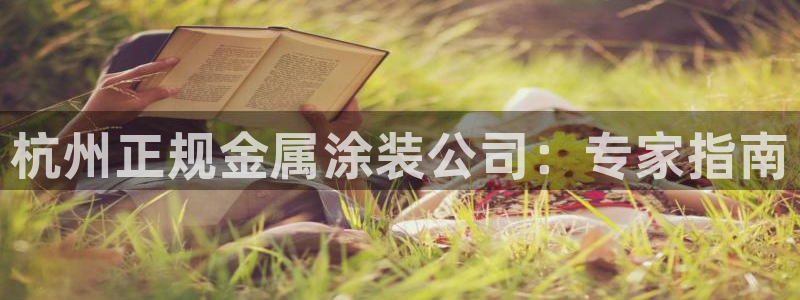 美高梅黑卡最低多少积分：杭州正规金属涂装