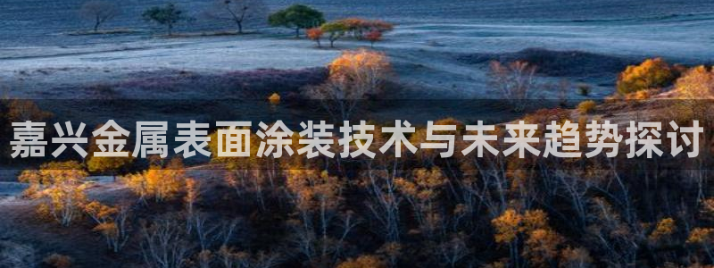 美高梅是做什么的?