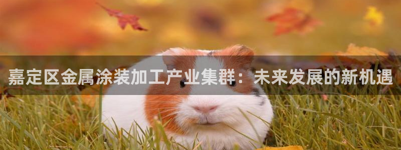 美高梅酒店自助年卡