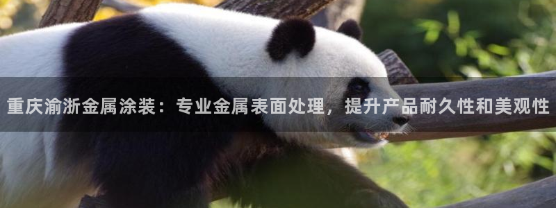 美高梅酒店app官网下载