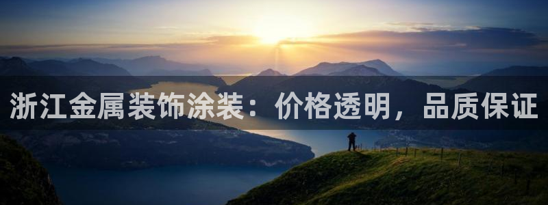 美高梅手机游戏：浙江金属装饰涂装：价格透