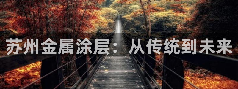 美高梅酒店附近：苏州金属涂层：从传统到未