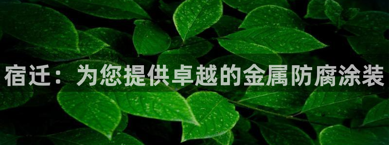 美高梅官方游戏网安卓版