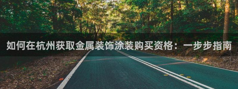 美高梅公司全称是什么：如何在杭州获取金属